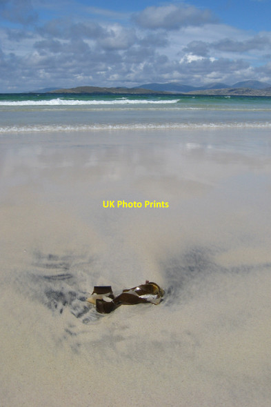 Photo 6"x4" Seaweed on the shore Sgarasta Bheag c2010