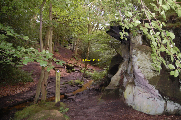 Photo 6"x4" Footpath in Waterfall Woods Alderley Edge\/SJ8478 c2010