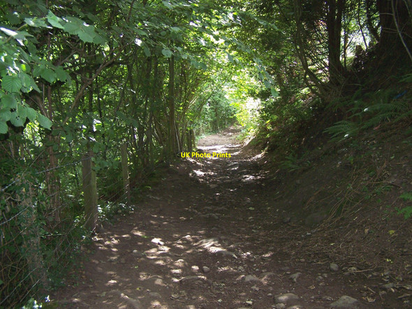 Photo 6"x4" Steep Footpath Down To The River Llanbedr\/SO2320 c2010