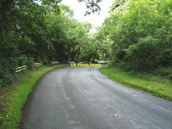 Photo 6"x4" Treelined Roadway (A711) down Balmangan Glen. Dundrennan c2010