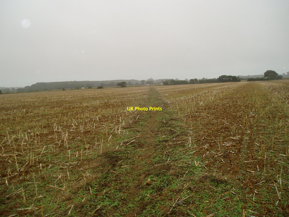 Photo 6"x4" Footpath 166  to Grevatt's Lane Ancton c2010