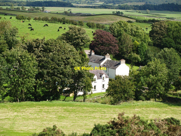Photo 6"x4" Collin Mill from the fort Auchencairn\/NX7951 c2010