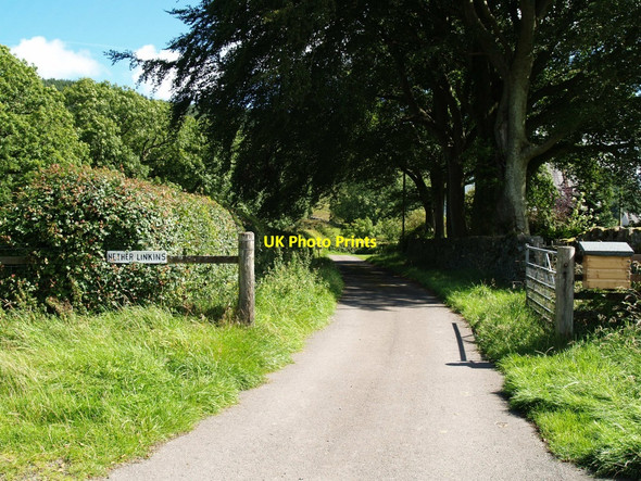 Photo 6"x4" Gateway to Nether Linkens Farm Whinnieliggate c2010