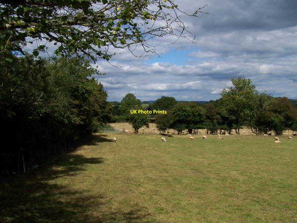 Photo 6"x4" View Northwards Near Tregare Church Tregare c2010