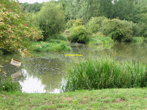 Photo 6"x4" Pond at Hartley Mauditt, Hampshire Hartley Mauditt c2010