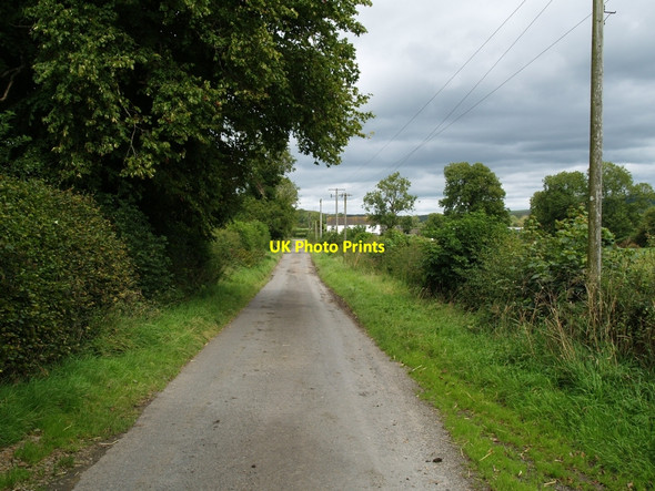 Photo 6"x4" Towards Burnside, Whinnieliggate. Whinnieliggate c2010