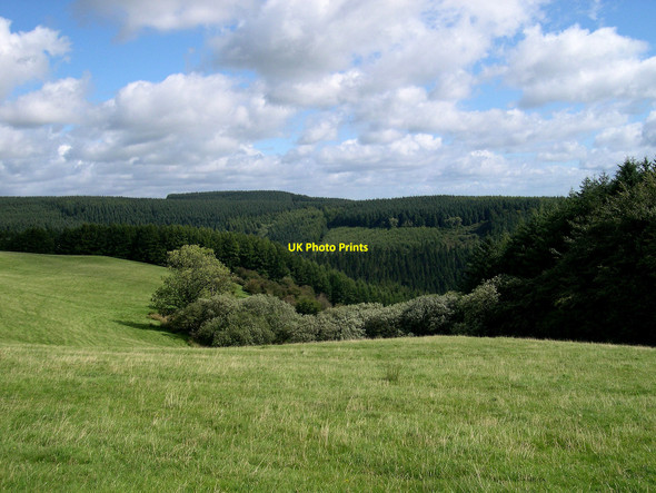 Photo 6"x4" Forest & Banc farm fields Abergorlech c2010