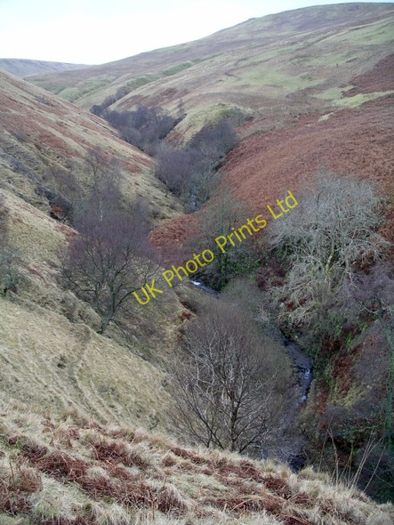 Photo 6"x4" Riskinhope Burn Riskinhope Burn c2006