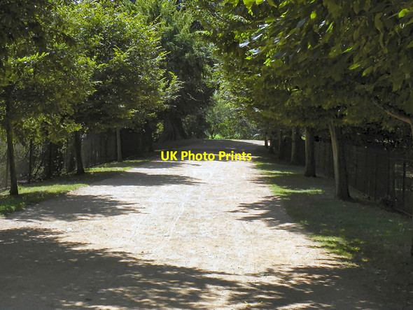 Photo 6"x4" Path in Christ Church Meadow Oxford\/SP5106 c2010