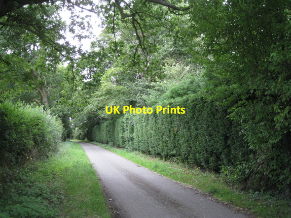 Photo 6"x4" Boundary of Glendalough Farm, Hob Lane Barston c2010