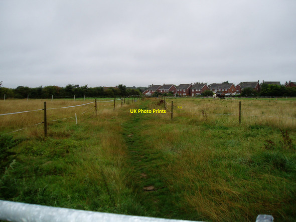 Photo 6"x4" Approaching Walberton Barnham\/SU9604 c2010