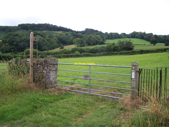 Photo 6"x4" Footpath In Skenfrith Skenfrith c2010