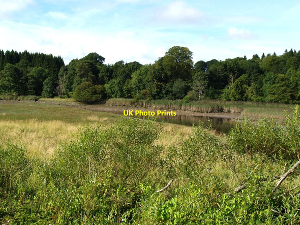 Photo 6"x4" Estuary of Tarff Water Tongland c2010
