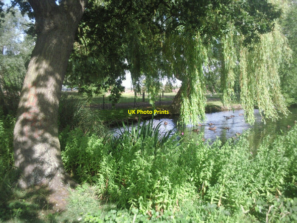 Photo 6"x4" Long Pond, Eltham Park North Eltham c2010
