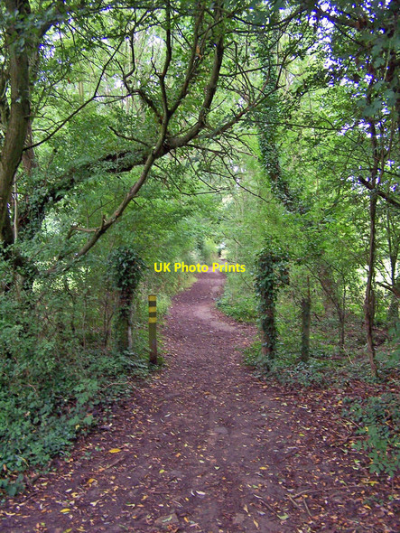 Photo 6"x4" Footpath to Hedge End Broadoak\/SU5013 c2010