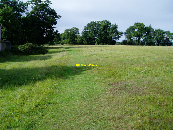 Photo 6"x4" Path to Pulborough (1) Wiggonholt c2010