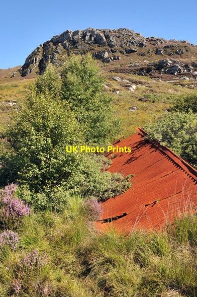 Photo 6"x4" Cruach na Bairness Smirisary c2010