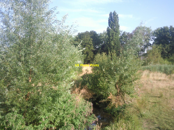 Photo 6"x4" Quaggy River in Sutcliffe Park Eltham c2010