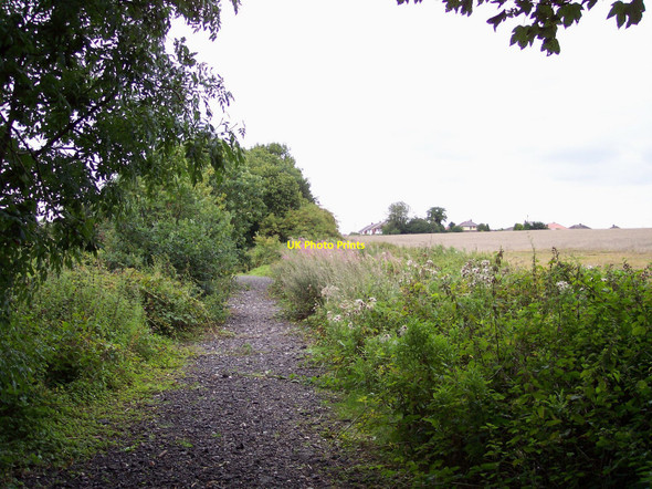 Photo 6"x4" The trackbed of Cronton Colliery railway Huyton-With-Roby c2010
