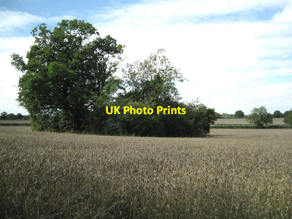 Photo 6"x4" Site of a pond, Gate Farm Fen End\/SP2275 c2010