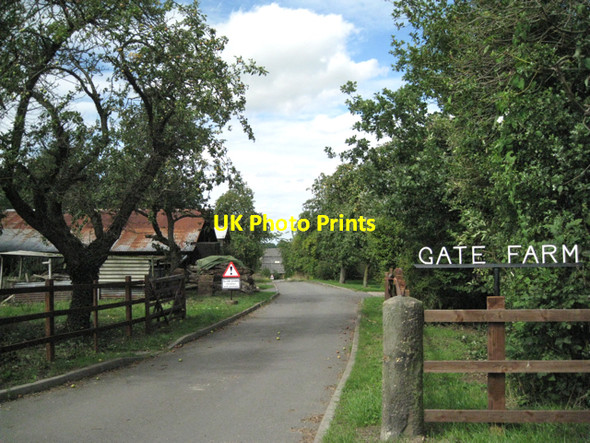 Photo 6"x4" Gate Farm gate Fen End\/SP2275 c2010