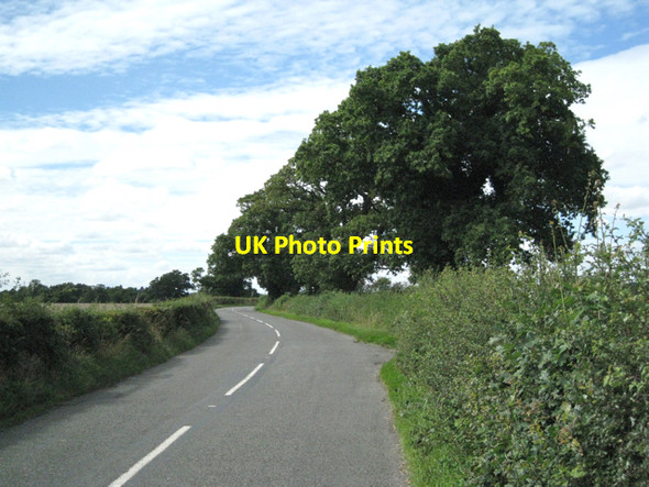 Photo 6"x4" Oaks by Fen End Road Fen End\/SP2275 c2010