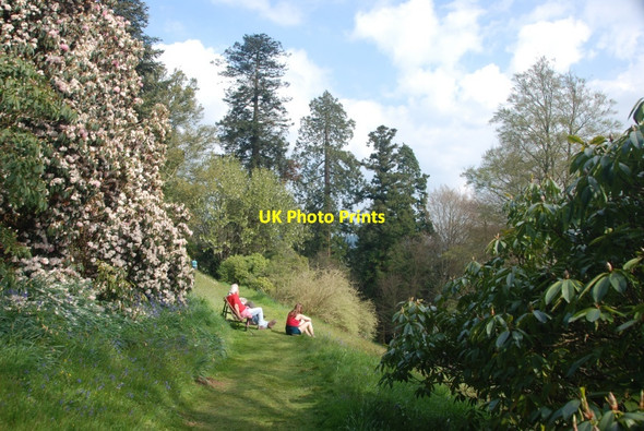 Photo 6"x4" Killerton Gardens: Enjoying the Views Beare\/SS9800 c2009