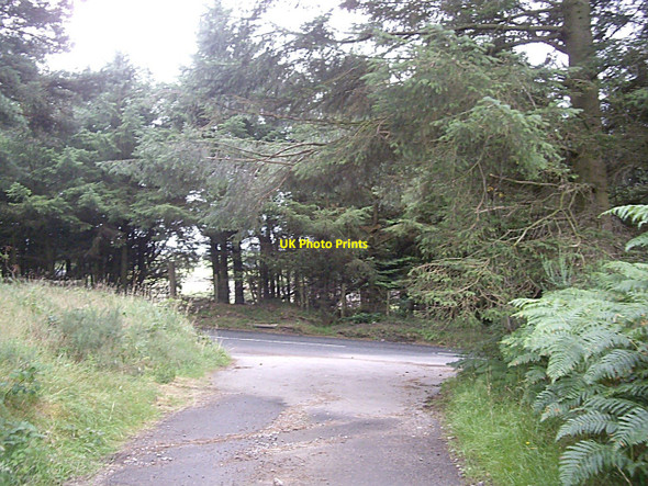 Photo 6"x4" Public road ahead Blacktop c2010