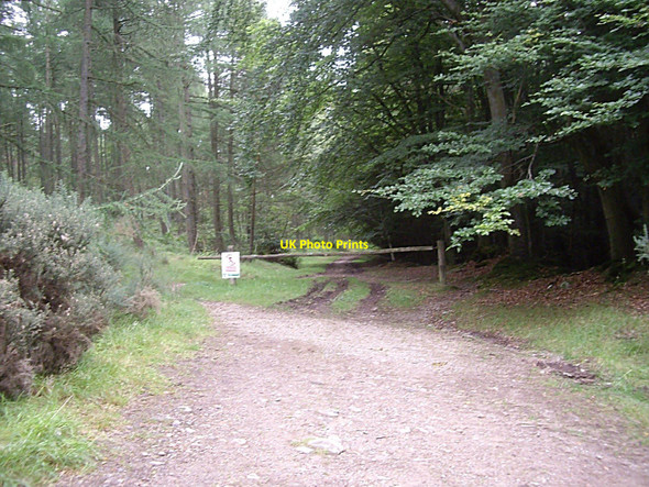 Photo 6"x4" Broomhill entrance to Gairnhill Wood Blacktop c2010