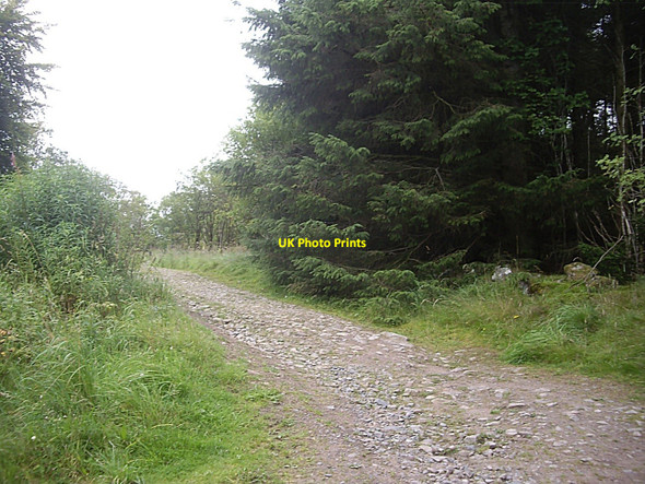 Photo 6"x4" Track between Kingshill and Gairnhill Woods Blacktop c2010