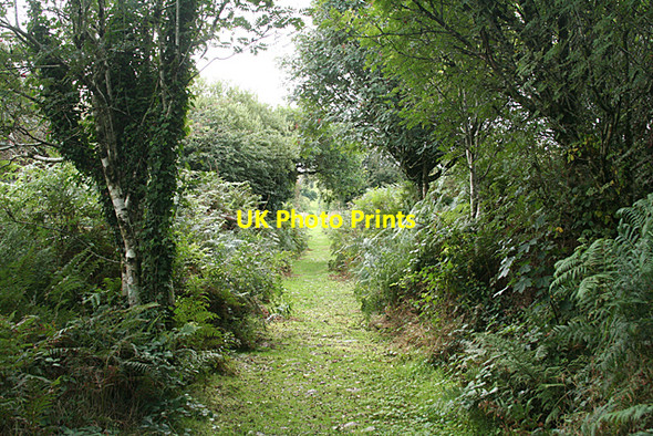 Photo 6"x4" Stoke Climsland: foot of Kit Hill inclined plane Downgate\/SX3672 c2010