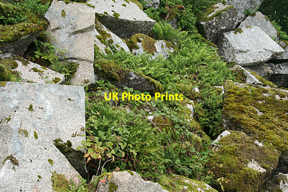 Photo 6"x4" Stoke Climsland: quarry waste Monkscross c2010