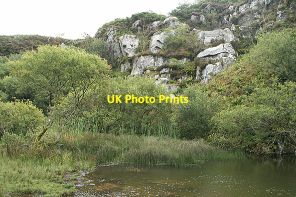 Photo 6"x4" Stoke Climsland: wildlife habitat Monkscross c2010
