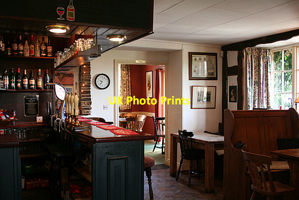 Photo 6"x4" Lezant: The Springer Spaniel Treburley c2010