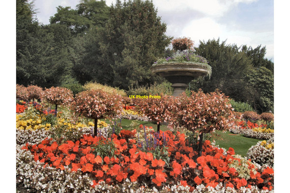 Photo 6"x4" Flowerbeds near Royal Crescent Bath\/ST7464 c2010
