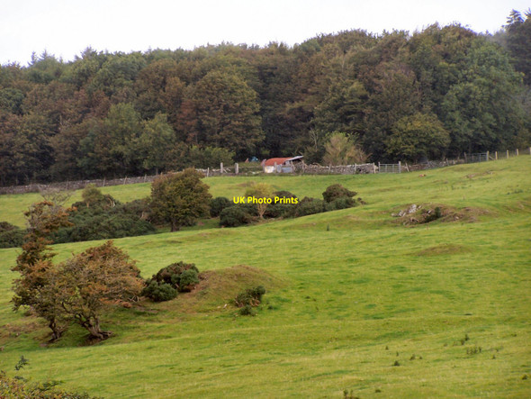 Photo 6"x4" Old farm shed Kirkcudbright c2010