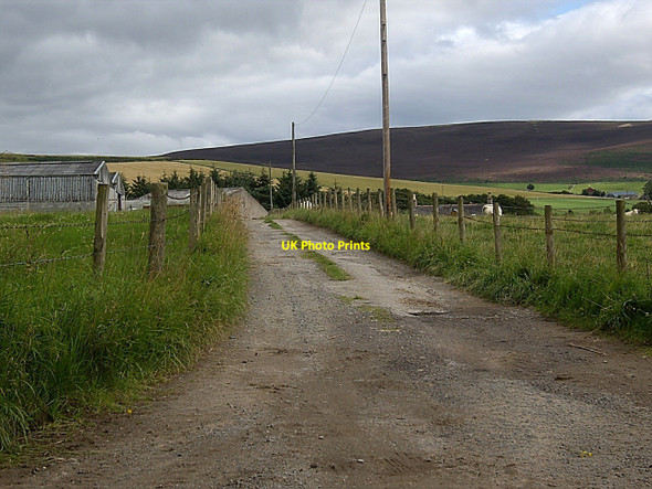 Photo 6"x4" Access to Cuttacksnest (August) Lumsden c2010
