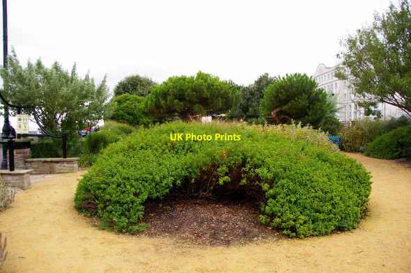 Photo 6"x4" Garden, Clacton-on-Sea, Essex Clacton-On-Sea c2010