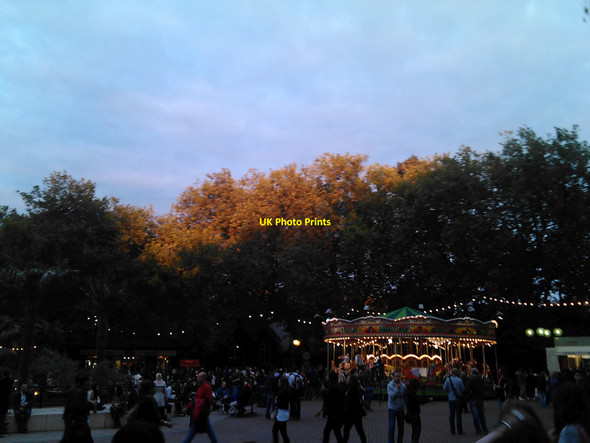Photo 6"x4" The setting sun playing on the trees at the edge of London Zoo Camden Town c2010