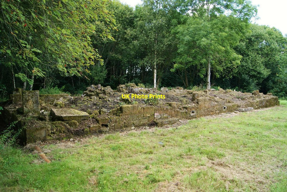 Photo 6"x4" Plean House Gamekeeper's Cottage (ruin) Plean c2010