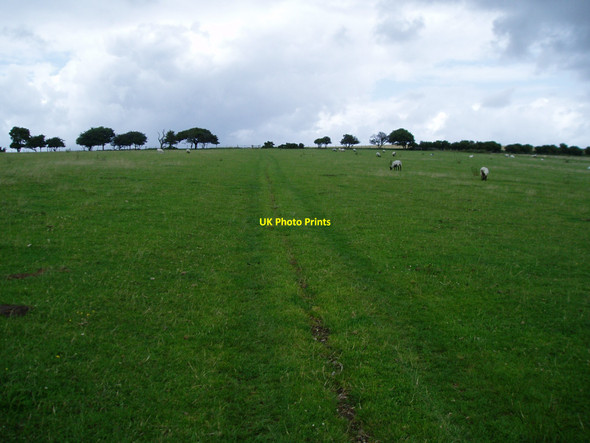 Photo 6"x4" Sussex Border Path crosses grazing land Pyecombe c2009