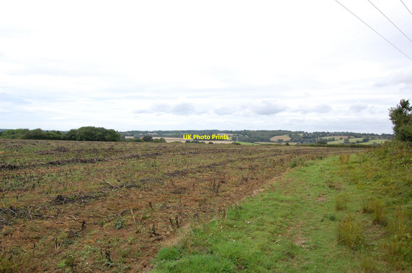 Photo 6"x4" Fields  near Turnpike Wood Rye c2010