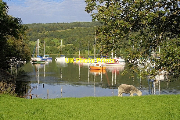 Photo 6"x4" Yachts at Coniston Hall Haws Bank\/SD3096 c2010