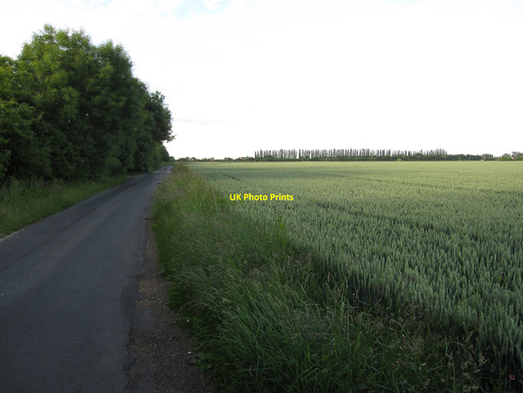 Photo 6"x4" Bramble Lane Holly End c2010