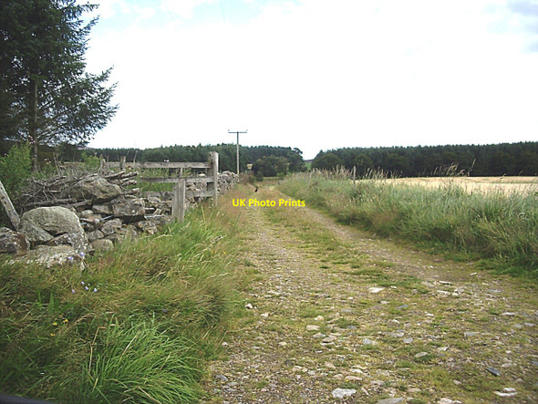 Photo 6"x4" Track to Drumnahive Wood Kildrummy c2010