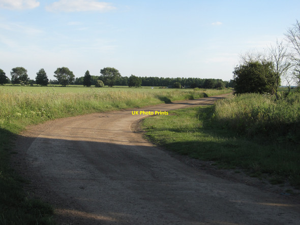 Photo 6"x4" Church Fen Drove Aldreth c2010