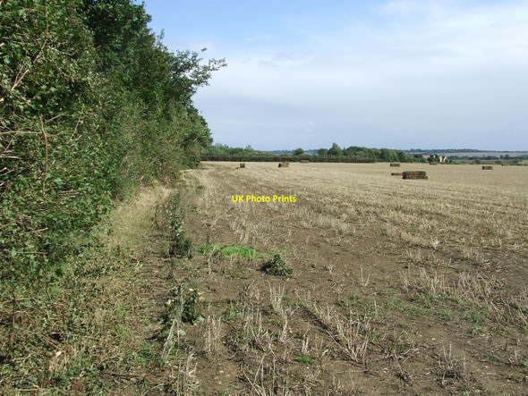 Photo 6"x4" Field Boundary Haverhill\/TL6645 c2010