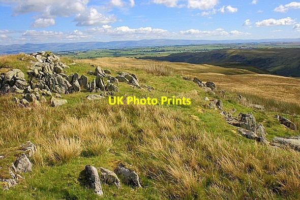Photo 6"x4" Rocky Knoll Hare Shaw\/NY4913 c2010