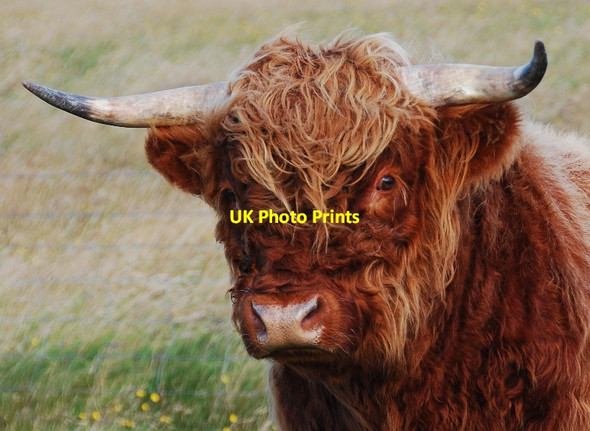 Photo 6"x4" Get off my land!!!! Hillside\/ND4696 c2010