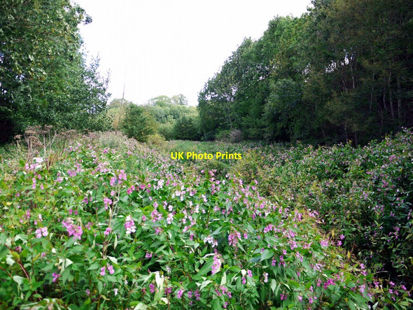 Photo 6"x4" Park Burn, Tyne Riverside Park Prudhoe c2010